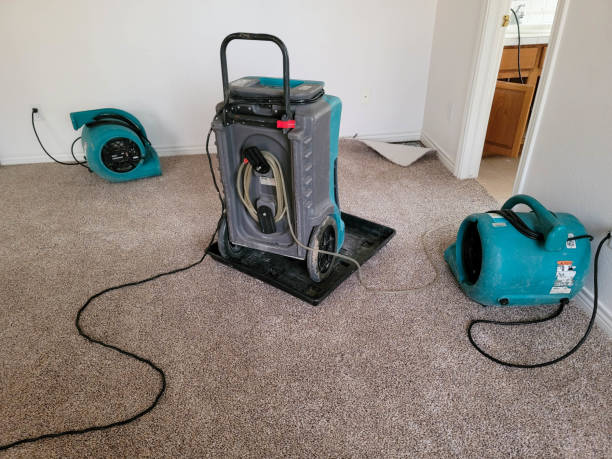 Best Wood Floor Water Damage Restoration in Inver Grove Heights, MN