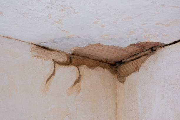 Best Basement Water Damage Restoration in Inver Grove Heights, MN